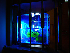 DeepBlue