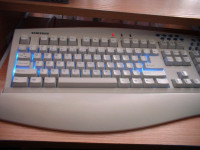 BLUE BUŚ