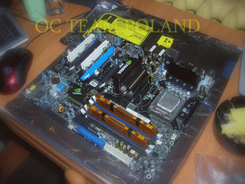 EVGA
