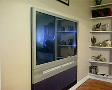 DIY Flat Panel